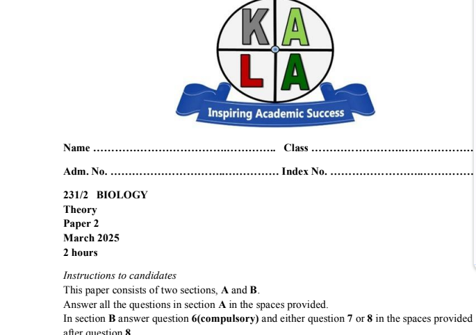 No preview available